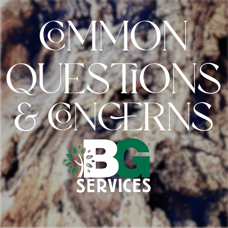 Read more about the article Common Customer Questions & Answers.