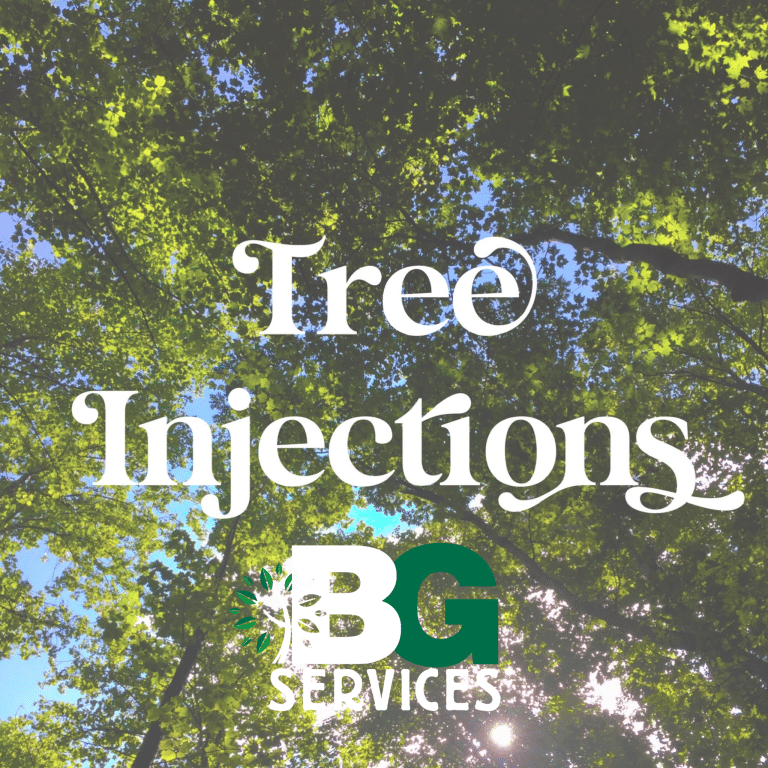 Read more about the article Tree Injections