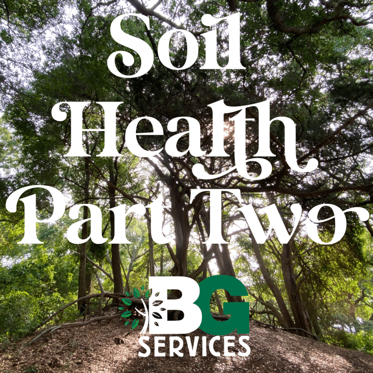Read more about the article Soil Health Part Two