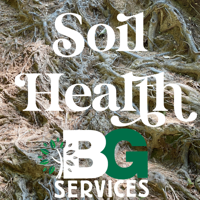 Read more about the article Soil Health