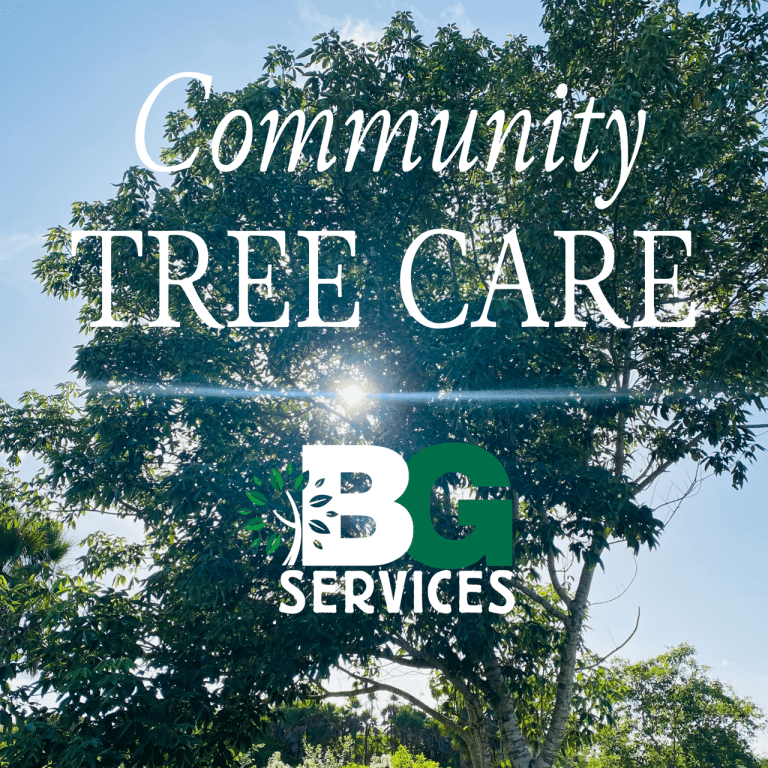 Read more about the article Community Tree Care