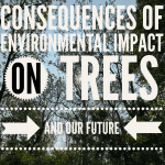 Consequences of Environmental Impact on Trees and Our Future