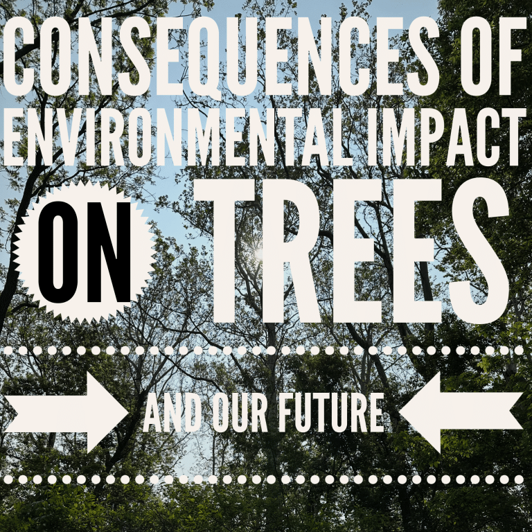 Read more about the article Consequences of Environmental Impact on Trees and Our Future