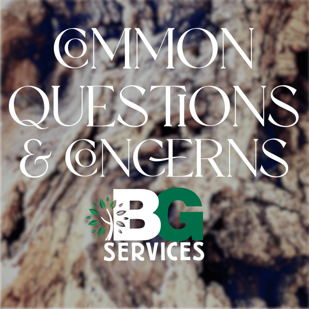 Blog cover image of common questions and concerns