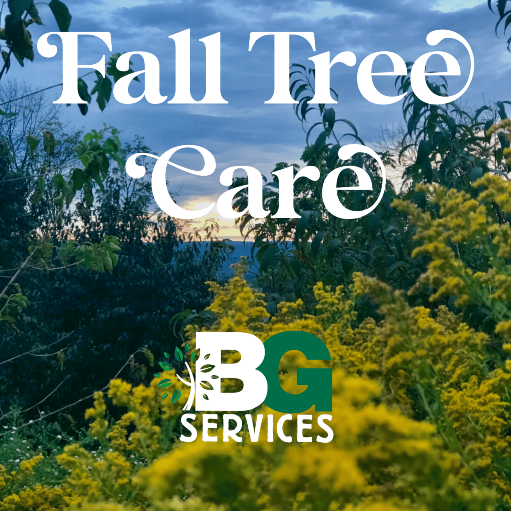 Fall Tree Care blog post cover