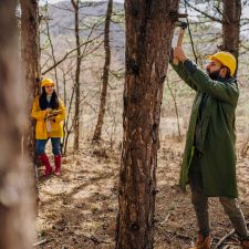 Tree inspection for inventory by arborists in Chester Springs, PA.