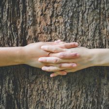 Hands hugging a tree in Phoenixville, PA.