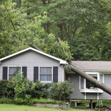 A house with a fallen tree on its roof near Malvern, PA.