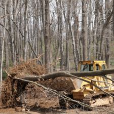 A skidsteer clearing trees on a private property near Pottstown, PA.