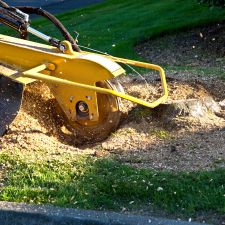 Stump grinding after a tree removal on a residence in Chester Springs, PA.