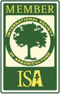 isa-member